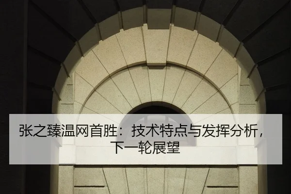 zhang-zhi-zhen-wen-wang-shou-sheng-ji-shu-te-dian-yu-fa-hui-fen-xi-xia-yi-lun-zhan-wang-2-163.jpg