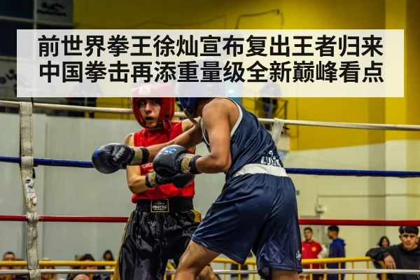 boxer in ring