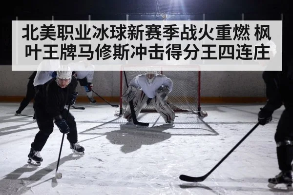 ice hockey rink action